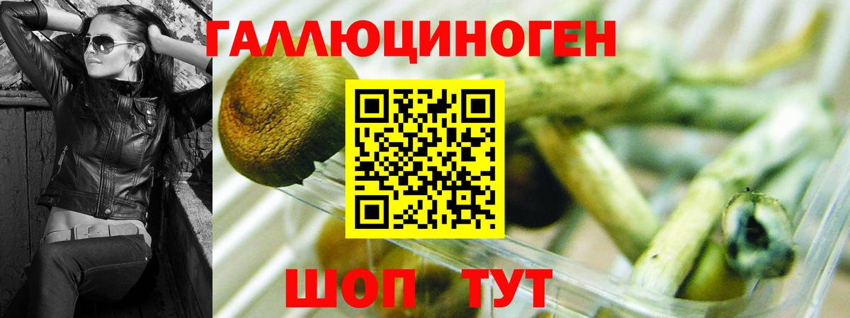 Псилоцибиновые грибы Psilocybe  Вход с VPN  Галлюциногенные грибы Psilocybine cubensis  Похвистнево 